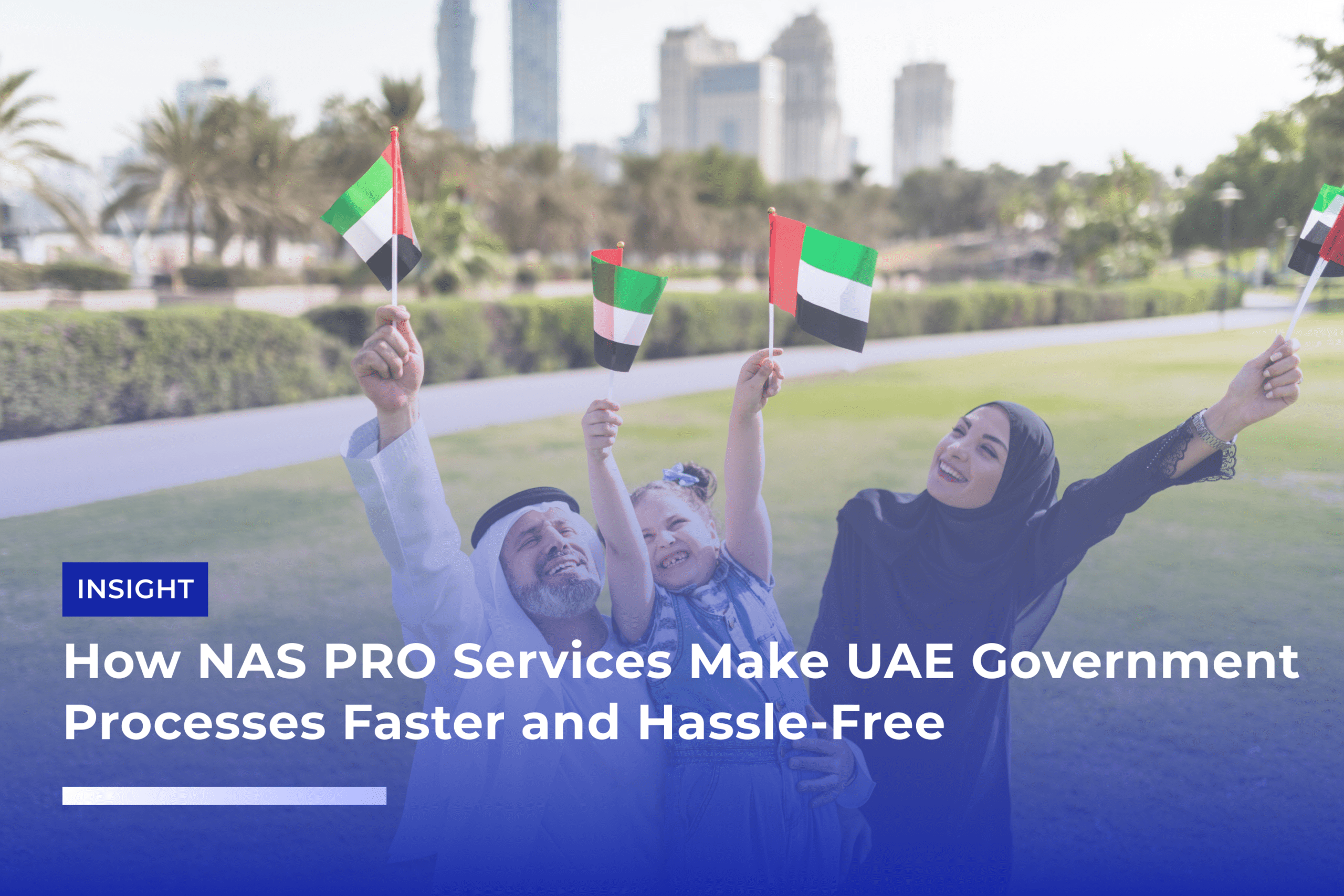 How NAS PRO Services Make UAE Government Processes Faster and Hassle-Free
